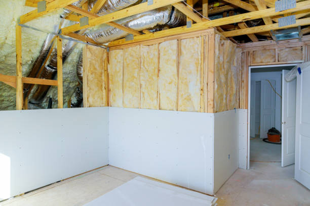 Best Blown-in Insulation  in Laureles, TX