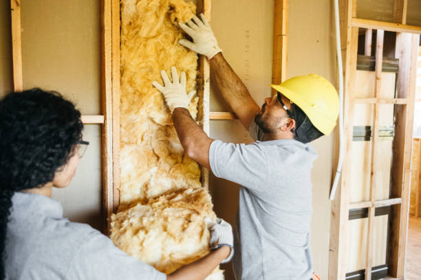 Best Soundproof Insulation Installation  in Laureles, TX