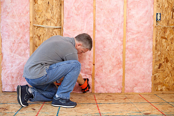 Best Crawl Space Insulation  in Laureles, TX
