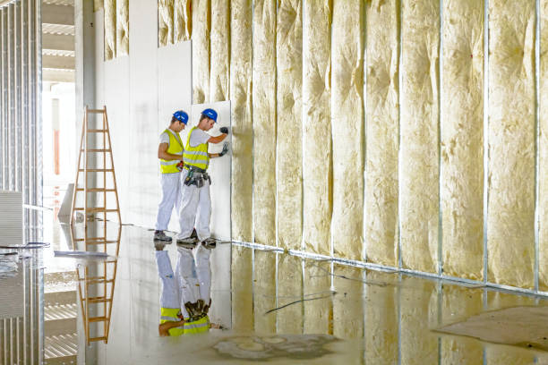 Best Wall Insulation Contractor  in Laureles, TX